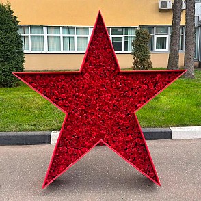 Фотозона «Звезда из цветов»