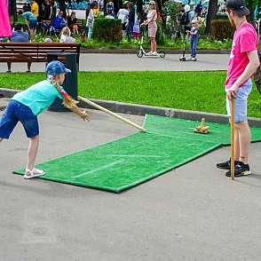 Городки Профессиональные