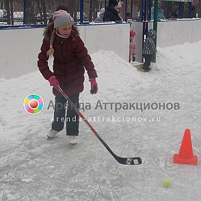 Клюшки хоккейные