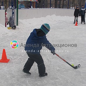 Клюшки хоккейные