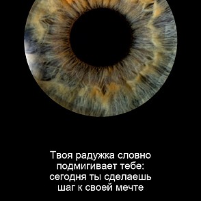 Предсказатель по радужке глаза