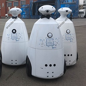 Аренда промо робота