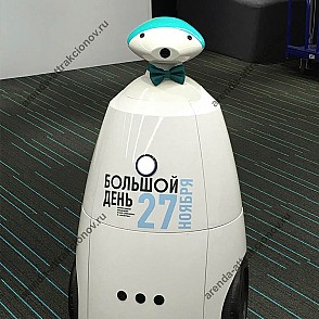 Аренда промо робота